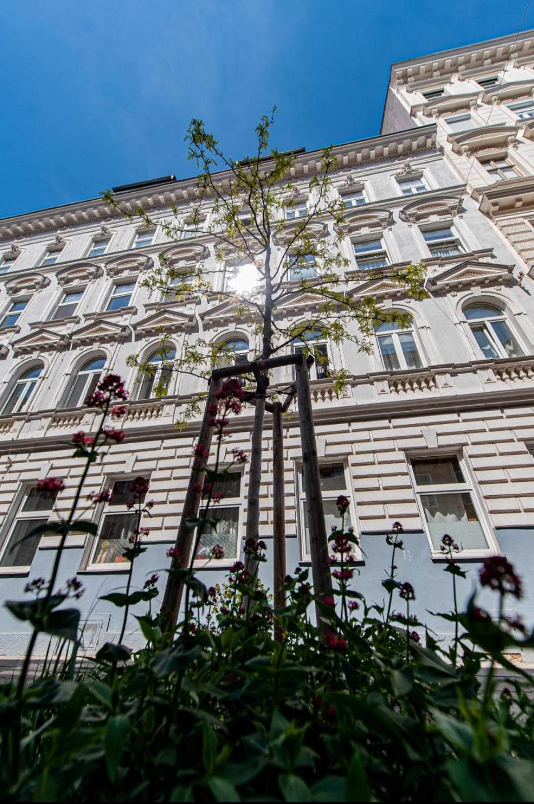 Apartment With Balcony Near Augarten Viena Exterior foto